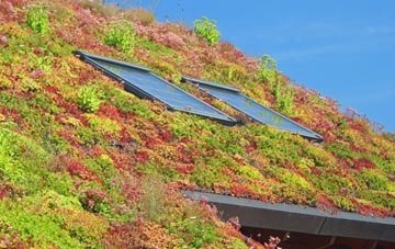 Morton On Swale living roof systems