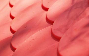 Morton On Swale plastic roof costs