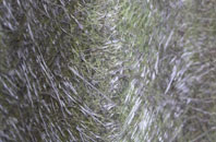 Morton On Swale fibreglass roof work